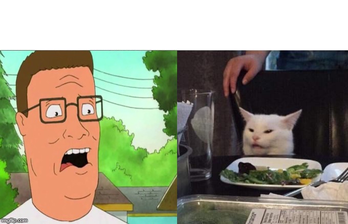 image tagged in hank hill,woman yelling at cat | made w/ Imgflip meme maker