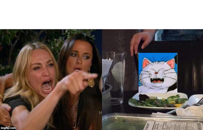Woman Yelling At Cat Meme | image tagged in memes,woman yelling at cat,dbz | made w/ Imgflip meme maker