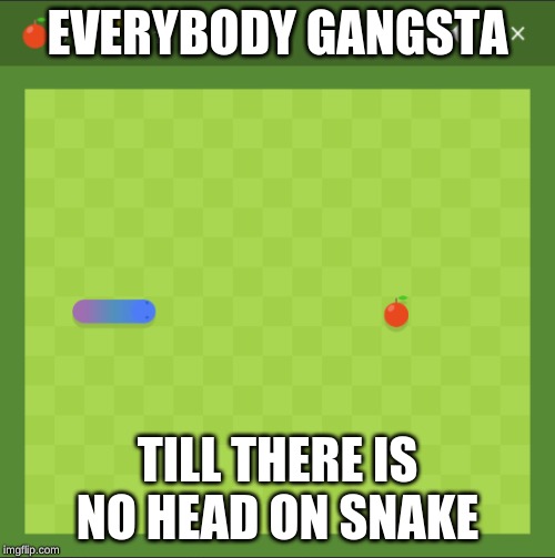 no-head snake | EVERYBODY GANGSTA; TILL THERE IS NO HEAD ON SNAKE | image tagged in no-head snake,memes | made w/ Imgflip meme maker