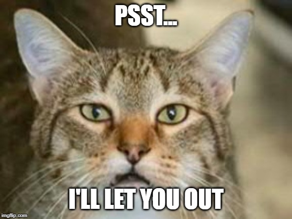 PSST... I'LL LET YOU OUT | image tagged in quilty | made w/ Imgflip meme maker