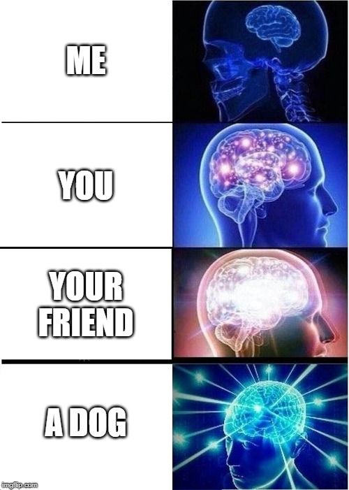 Expanding Brain | ME; YOU; YOUR FRIEND; A DOG | image tagged in memes,expanding brain | made w/ Imgflip meme maker