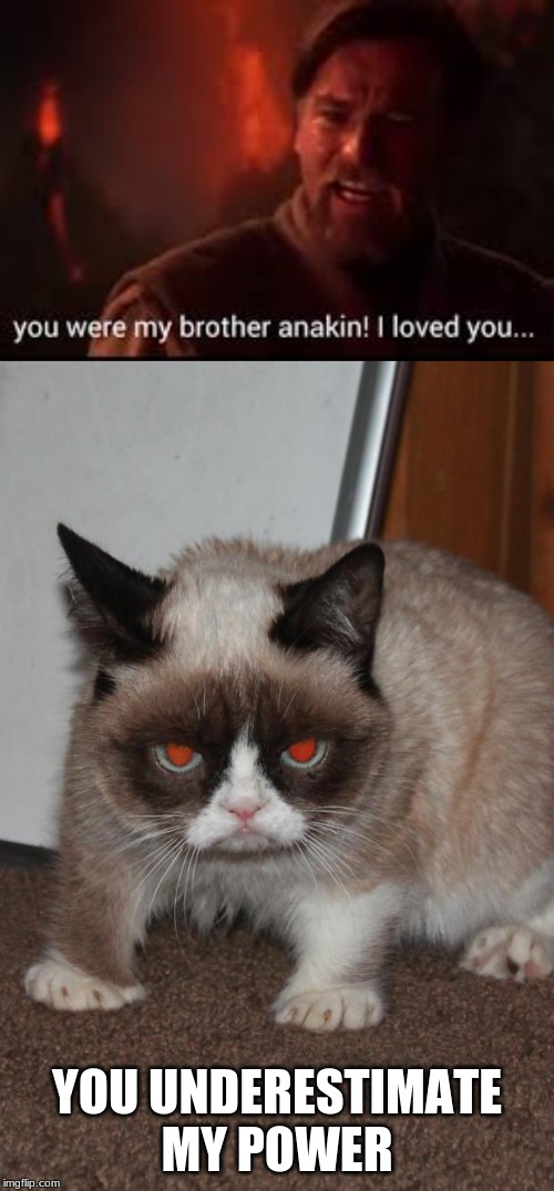 YOU UNDERESTIMATE MY POWER | image tagged in grumpy cat red eyes | made w/ Imgflip meme maker