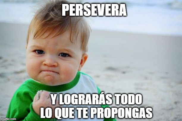 Success Kid Original Meme | PERSEVERA; Y LOGRARÁS TODO LO QUE TE PROPONGAS | image tagged in memes,success kid original | made w/ Imgflip meme maker