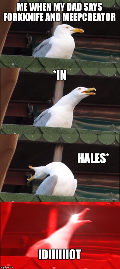 Inhaling Seagull | ME WHEN MY DAD SAYS FORKKNIFE AND MEEPCREATOR; *IN; HALES*; IDIIIIIIOT | image tagged in memes,inhaling seagull | made w/ Imgflip meme maker