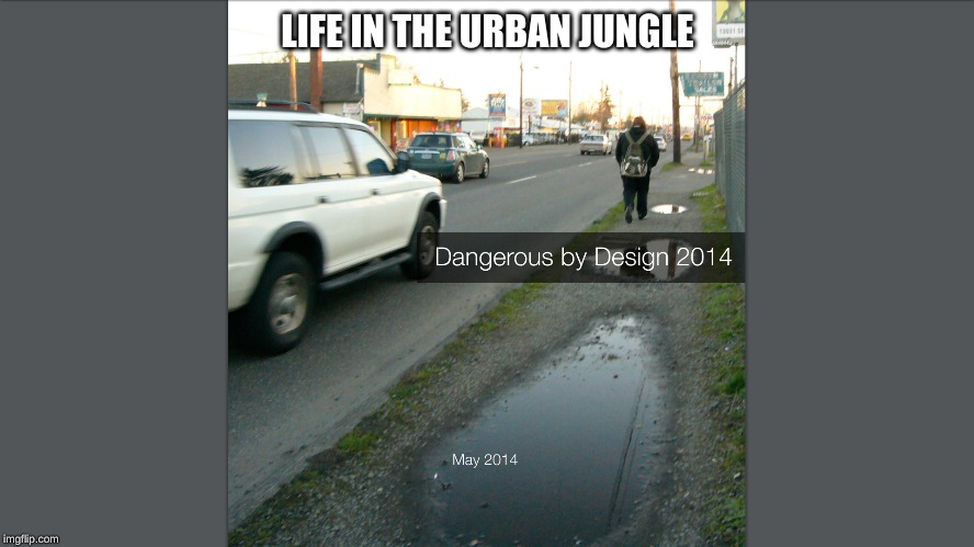 Somewhere in America | LIFE IN THE URBAN JUNGLE | image tagged in corruption | made w/ Imgflip meme maker
