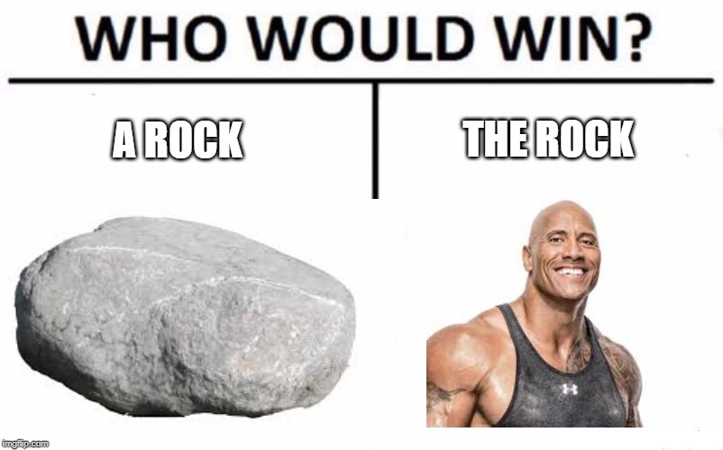 The Rock! | THE ROCK; A ROCK | image tagged in the rock,memes,funny | made w/ Imgflip meme maker