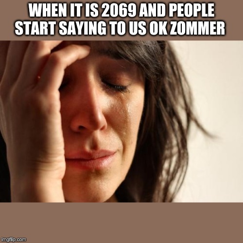 First World Problems | WHEN IT IS 2069 AND PEOPLE START SAYING TO US OK ZOMMER | image tagged in memes,first world problems | made w/ Imgflip meme maker