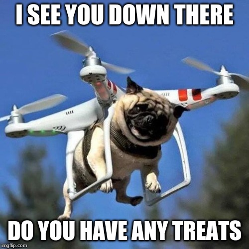 Flying Pug | I SEE YOU DOWN THERE; DO YOU HAVE ANY TREATS | image tagged in flying pug | made w/ Imgflip meme maker