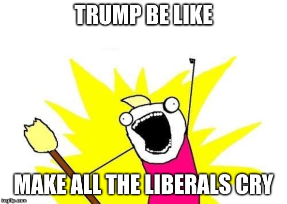 X All The Y | TRUMP BE LIKE; MAKE ALL THE LIBERALS CRY | image tagged in memes,x all the y | made w/ Imgflip meme maker