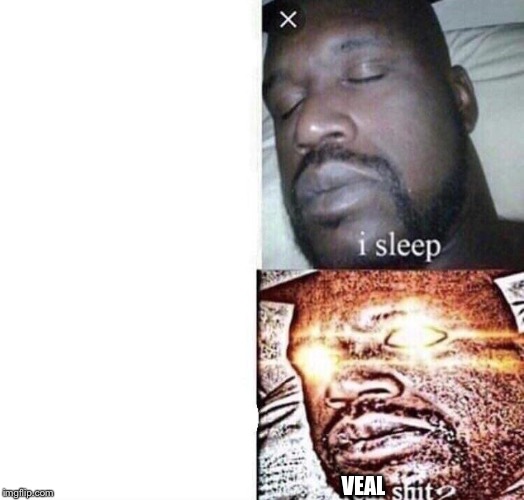 i sleep real shit | VEAL | image tagged in i sleep real shit | made w/ Imgflip meme maker