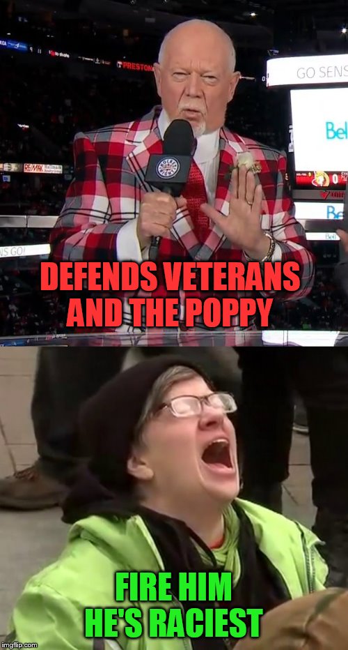 DEFENDS VETERANS AND THE POPPY FIRE HIM HE'S RACIEST | image tagged in don cherry | made w/ Imgflip meme maker