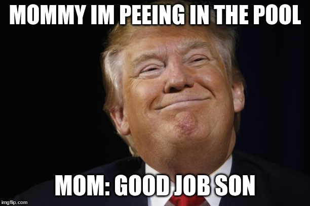 the pool | MOMMY IM PEEING IN THE POOL; MOM: GOOD JOB SON | image tagged in funny | made w/ Imgflip meme maker