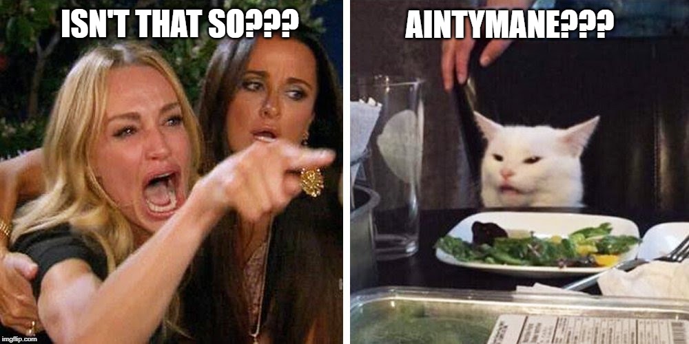 Smudge the cat | AINTYMANE??? ISN'T THAT SO??? | image tagged in smudge the cat | made w/ Imgflip meme maker