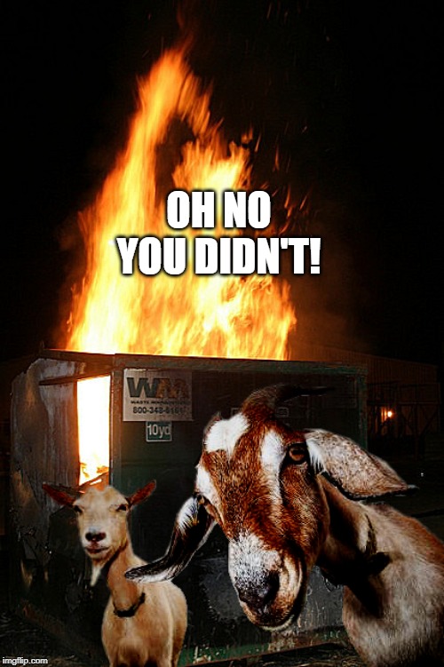 Dumpster Fire Goats | OH NO YOU DIDN'T! | image tagged in dumpster fire goats | made w/ Imgflip meme maker