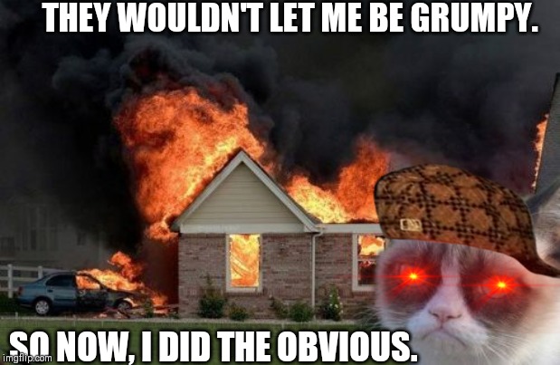 Burn Kitty Meme | THEY WOULDN'T LET ME BE GRUMPY. SO NOW, I DID THE OBVIOUS. | image tagged in memes,burn kitty,grumpy cat | made w/ Imgflip meme maker