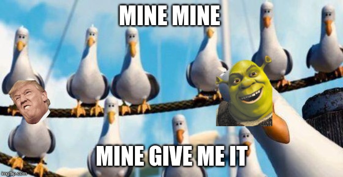 Nemo Birds | MINE MINE; MINE GIVE ME IT | image tagged in nemo birds | made w/ Imgflip meme maker