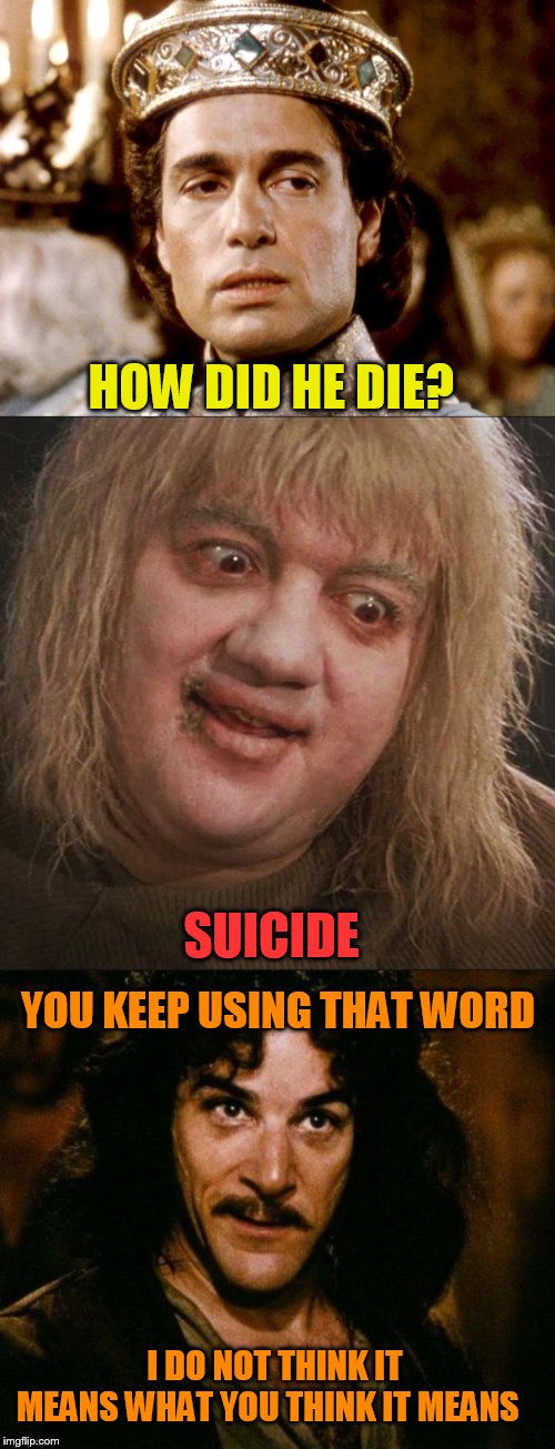 HOW DID HE DIE? YOU KEEP USING THAT WORD SUICIDE I DO NOT THINK IT MEANS WHAT YOU THINK IT MEANS | made w/ Imgflip meme maker