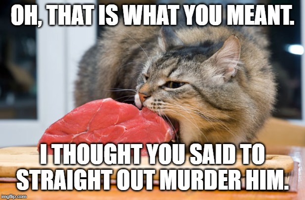 Hungry cat | OH, THAT IS WHAT YOU MEANT. I THOUGHT YOU SAID TO STRAIGHT OUT MURDER HIM. | image tagged in hungry cat | made w/ Imgflip meme maker