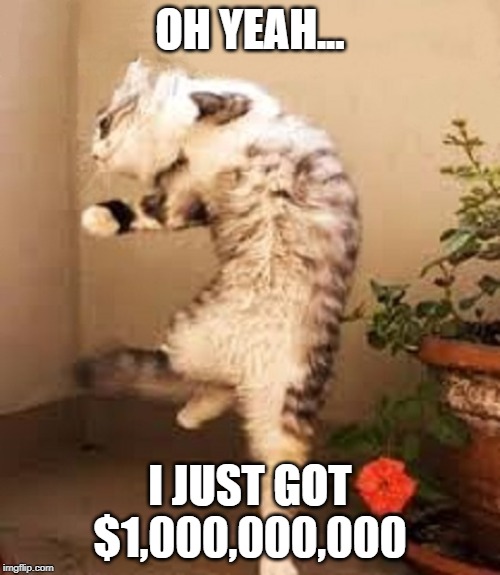 happy dance cat | OH YEAH... I JUST GOT $1,000,000,000 | image tagged in happy dance cat | made w/ Imgflip meme maker
