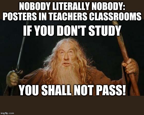 gandalf | NOBODY LITERALLY NOBODY: POSTERS IN TEACHERS CLASSROOMS; IF YOU DON'T STUDY; YOU SHALL NOT PASS! | image tagged in gandalf | made w/ Imgflip meme maker