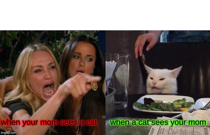 Woman Yelling At Cat | when your mom sees a cat; when a cat sees your mom | image tagged in memes,woman yelling at cat | made w/ Imgflip meme maker