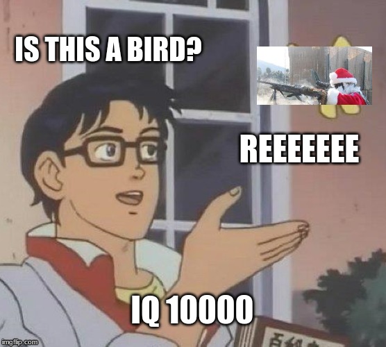 How smart is he!?!?? | IS THIS A BIRD? REEEEEEE; IQ 10000 | image tagged in memes,is this a pigeon | made w/ Imgflip meme maker