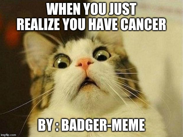 Scared Cat Meme | WHEN YOU JUST REALIZE YOU HAVE CANCER; BY : BADGER-MEME | image tagged in memes,scared cat | made w/ Imgflip meme maker