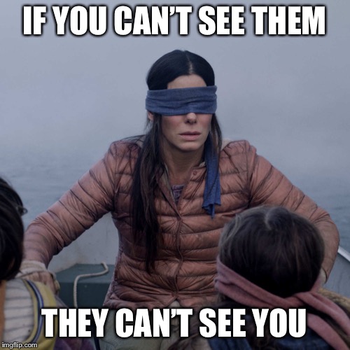 Bird Box Meme | IF YOU CAN’T SEE THEM; THEY CAN’T SEE YOU | image tagged in memes,bird box | made w/ Imgflip meme maker