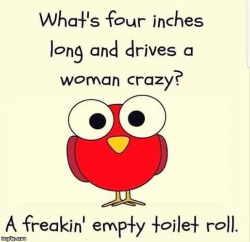 LOL | image tagged in best memes,no more toilet paper,toilet paper | made w/ Imgflip meme maker