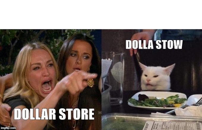 Woman Yelling At Cat Meme | DOLLA STOW; DOLLAR STORE | image tagged in memes,woman yelling at cat | made w/ Imgflip meme maker