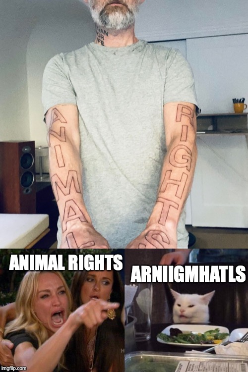 ANIMAL RIGHTS; ARNIIGMHATLS | image tagged in memes,woman yelling at cat | made w/ Imgflip meme maker