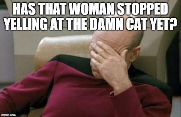 Has that woman stopped yelling at the damn cat yet? | HAS THAT WOMAN STOPPED YELLING AT THE DAMN CAT YET? | image tagged in memes,captain picard facepalm | made w/ Imgflip meme maker