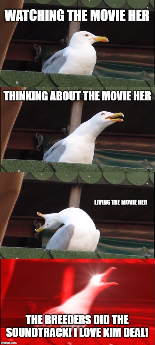 Inhaling Seagull | WATCHING THE MOVIE HER; THINKING ABOUT THE MOVIE HER; LIVING THE MOVIE HER; THE BREEDERS DID THE SOUNDTRACK! I LOVE KIM DEAL! | image tagged in memes,inhaling seagull | made w/ Imgflip meme maker