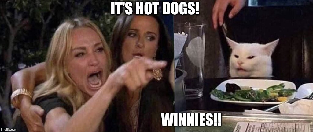 woman yelling at cat | IT'S HOT DOGS! WINNIES!! | image tagged in woman yelling at cat | made w/ Imgflip meme maker