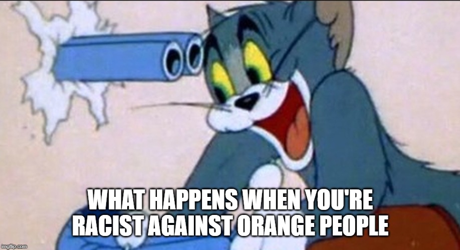 Tom Gun | WHAT HAPPENS WHEN YOU'RE RACIST AGAINST ORANGE PEOPLE | image tagged in tom gun | made w/ Imgflip meme maker