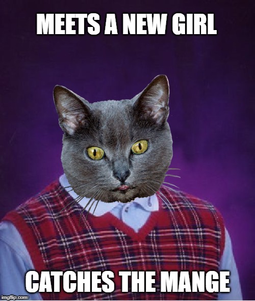 Bad Luck Cat | MEETS A NEW GIRL; CATCHES THE MANGE | image tagged in funny memes,cat memes,bad luck,cats | made w/ Imgflip meme maker
