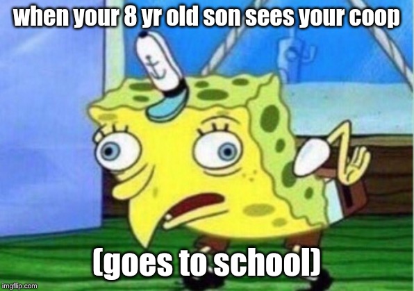 Mocking Spongebob | when your 8 yr old son sees your coop; (goes to school) | image tagged in memes,mocking spongebob | made w/ Imgflip meme maker