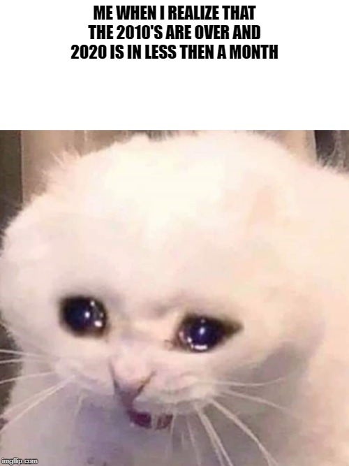 Crying Cat | ME WHEN I REALIZE THAT THE 2010'S ARE OVER AND 2020 IS IN LESS THEN A MONTH | image tagged in crying cat | made w/ Imgflip meme maker