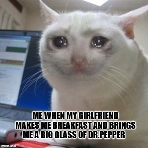 Crying cat | ME WHEN MY GIRLFRIEND MAKES ME BREAKFAST AND BRINGS ME A BIG GLASS OF DR.PEPPER | image tagged in crying cat | made w/ Imgflip meme maker