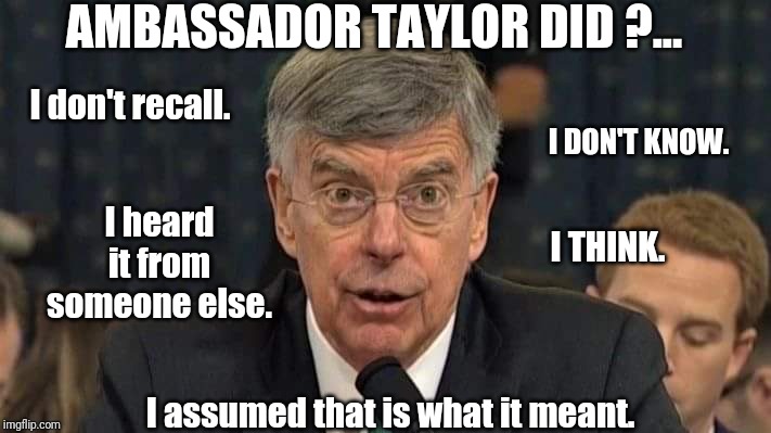 C.L.M.W. Trump 20/20 | AMBASSADOR TAYLOR DID ?... I don't recall. I DON'T KNOW. I heard it from someone else. I THINK. I assumed that is what it meant. | image tagged in political memes | made w/ Imgflip meme maker