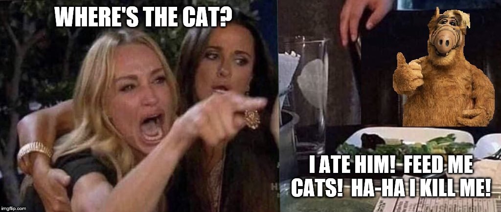 ALF eats the cat | WHERE'S THE CAT? I ATE HIM!  FEED ME CATS!  HA-HA I KILL ME! | image tagged in woman yelling at cat,alf | made w/ Imgflip meme maker