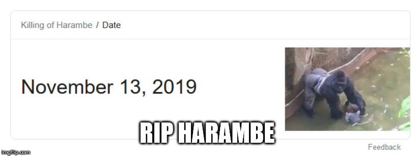 RIP HARAMBE | image tagged in monkey,gorilla,harambe,dicksoutforharambe | made w/ Imgflip meme maker