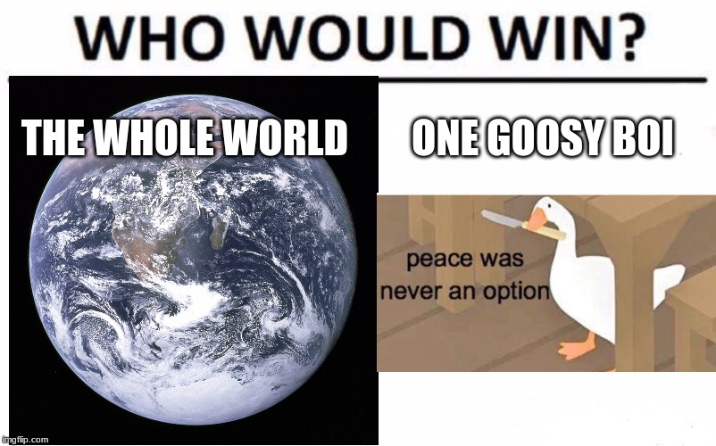 THE WHOLE WORLD; ONE GOOSY BOI | made w/ Imgflip meme maker