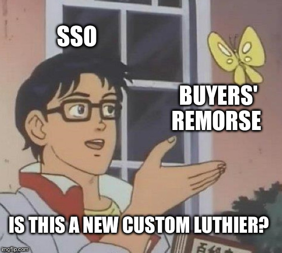 Is This A Pigeon Meme | SSO; BUYERS' REMORSE; IS THIS A NEW CUSTOM LUTHIER? | image tagged in memes,is this a pigeon | made w/ Imgflip meme maker