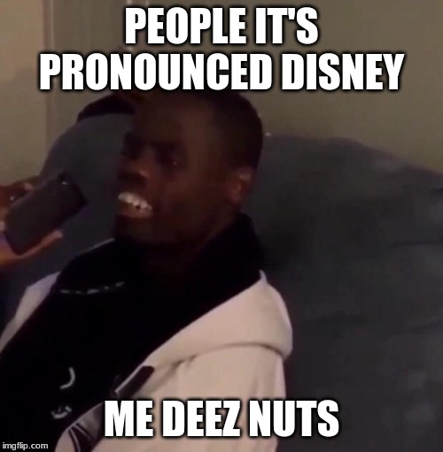 Deez Nutz | PEOPLE IT'S PRONOUNCED DISNEY; ME DEEZ NUTS | image tagged in deez nutz | made w/ Imgflip meme maker