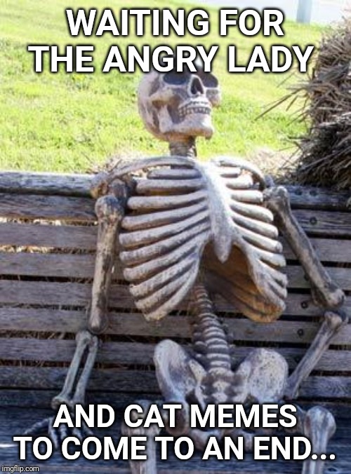 Waiting Skeleton | WAITING FOR THE ANGRY LADY; AND CAT MEMES TO COME TO AN END... | image tagged in memes,waiting skeleton | made w/ Imgflip meme maker