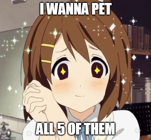 aww anime girl | I WANNA PET ALL 5 OF THEM | image tagged in aww anime girl | made w/ Imgflip meme maker