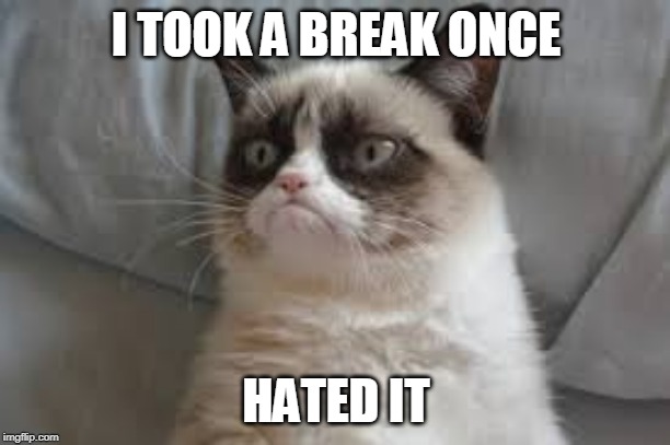 Grumpy cat | I TOOK A BREAK ONCE HATED IT | image tagged in grumpy cat | made w/ Imgflip meme maker