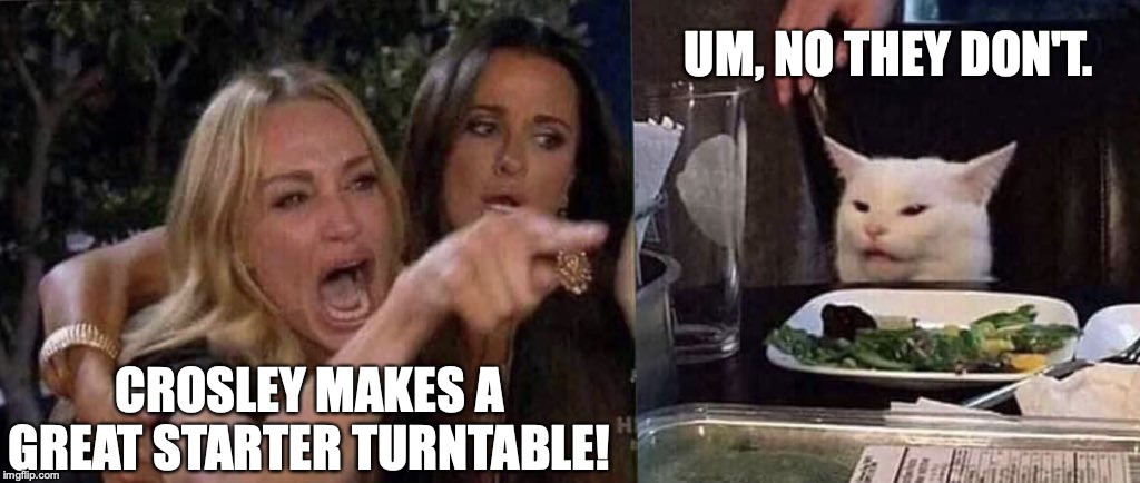 woman yelling at cat | UM, NO THEY DON'T. CROSLEY MAKES A GREAT STARTER TURNTABLE! | image tagged in woman yelling at cat | made w/ Imgflip meme maker
