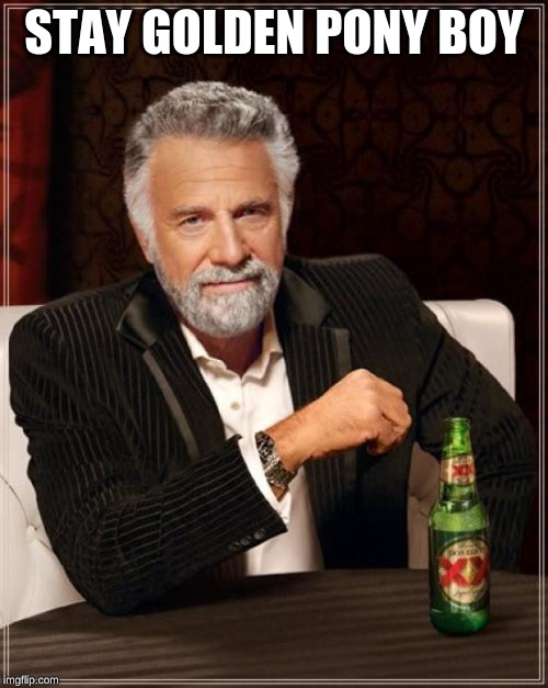 The Most Interesting Man In The World Meme | STAY GOLDEN PONY BOY | image tagged in memes,the most interesting man in the world | made w/ Imgflip meme maker